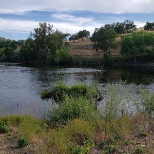 Meet your Posher, Marlene